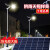 上海亚明太阳能LED路灯户外防水超亮300W庭院超亮新农村道路 6米路灯杆(一体直杆)镀锌钢材[