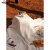 MLHJ户外野餐垫ins风白色法式野餐布网红用品露营帐篷垫沙滩垫桌布厚 白格(不含防潮垫) 90*180cm