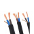 二芯铜国标电缆线平方软线2.5/4户外护套线5/10/50米延长线 铜2X4平方5米送三件套