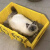 斜口工具箱收纳箱零件箱分类整理箱储物箱周转箱集装箱猫砂盆沙盆 猫砂盆+贴纸