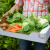 京百味 8种新鲜蔬菜组合5斤装 4款叶菜 4款自由搭配组合 新鲜蔬菜