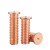 嘉耐特（JNT）镀铜焊接螺丝 点焊螺丝 植焊钉焊接螺柱点焊柱螺钉 M3*6（300个）
