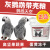 鹦鹉天空 PARROT SKY灰鹦鹉专用带壳饲料粮食鸟粮鸟食高坚果含滋养丸 2.5公斤