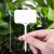UOSU T型加厚插地PP标签 塑料园艺标签 植物标签插地记号牌绿植标牌 货期7-10天 香草白（100个） 10天