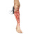 天齐卫勤 医学教学模型 穿戴式四肢止血训练模块（止血训练套件、血液循环系统）TQ-BLA2020004