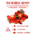 中基西红柿番茄番茄丁 新疆番茄罐头 番茄罐头 番茄酱小番茄番茄红素 300g*12罐(23年8月新货)
