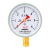 红旗（HONGQI）Y-100红旗普通压力表径向安装0-6mpa水压油压气压表螺纹M20*1.5	