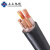 上上电缆 电缆线ZC-YJV-0.6/1kV-4*25+1*16平方5芯国标阻燃铜芯电源线全项保检 1米 