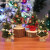 阿首门店橱窗桌面摆件小礼物圣诞树圣诞节装饰品20cm迷你小型圣诞 红花(绒布)