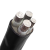 瑞天线缆 ZC-YJLV22-1KV 3*25+1*16平方 铝线铠装电力电缆 国标地埋电线电缆 1米