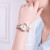 宝时捷（POSCER）【专柜同款】手表 时尚女士机械腕表防水贝母盘钢带女表6089L.RRW