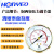 气减压阀YQ-1铜两级压力调节器实验室双级氧气氩气honyeo YQ-2(25*0.16)