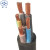 凌志 电线电缆电源线YZ 3*6+2*4 5芯橡套线国标软芯橡胶线 100米