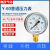 Y-60mm径向压力表水压气压油压真空表空调化妆品机器仪表0-1.6mpa Y60普通 00109Mpa