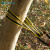 SHANDUAO 户外扁带环 攀岩登山装备 承重扁带绳 耐磨保护带SD289 黄色双边60cm