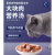 滋奇大鱼大肉猫罐头85g*6罐/箱成幼猫高汤补充营养猫咪湿粮罐头猫零食 [机能餐盒]鸡肉配吞拿鱼*6 85g/罐