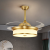溪普全铜风扇灯隐形北欧吊扇灯简约卧室餐厅家用一体电扇吊灯 黑擦金-48寸-72W三色遥控