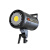 摄像灯常亮补光灯ZS-200BI LED视频直播摄影灯套装儿童拍照灯演播室摄像 ZS-200BI+八角柔光箱顶灯套装
