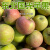 膳蓝鲜东北国光苹果10斤新鲜应季水果酸甜5斤孕 3斤小果