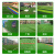 仿真草坪地毯幼儿园人造假草皮装饰阳台户外绿色围挡人工塑料绿植定做 2.5厘米春草/特密网格/加厚不掉渣