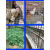 镀锌钢丝网围栏圈地养殖鸡鸭动物栅栏护栏鱼塘防裂抹墙铁丝网孔 1米高2厘米网孔0.8毫米粗18米长