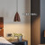 秀雷（XIULEI）床头吊灯 2023年新款风卧室床头灯主卧吊线灯橱窗灯设计师创意餐 瓜吊灯暖光