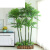 仿真发财树盆栽室内客厅落地装饰绿植假树树塑料树 1.5m辫子发财 1.6米热带植物