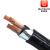 欧知联电线电缆ZC-YJV22 4*10平方国标铜芯铠装电力电缆硬线1米 0.6/1KV 聚乙烯