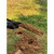 正宗洛阳铲头取土神器挖土洞锹打眼工具挖树考古勘探取样挖孔栽树定制 3米每节一米1把取样铲