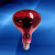 远理疗灯烤电灯泡理疗家用电烤灯神灯红光灯灯泡 两粒优惠装红光(温度高效果好) 100-300W