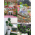 仿真植物草球米兰球塑料绿植吊顶装饰假花草商城门店橱窗美陈造景 米兰草球-直径13厘米