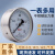轴向储气罐气压表Y100BF-Z杭州鹳山Y-100ZB轴向容器不锈钢304鹤山 0~1.6MPA