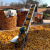 玉米棒子输送机家用小型传送带苞米上棒机链条漏粒传送带颗粒散料 7米双链条款4米铜电机 00mB