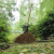 竹扫把农村老式竹丝扫帚笤帚户外庭院环卫通用大扫把扫院子 藤扎竹丝扫帚长13米宽40厘米