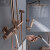当代（DCRN BRACHT）德国高端玫瑰金恒温淋浴花洒套装铜家用浴室冷热豪华沐浴淋雨 银色