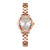 聚利时2024年新款女士手表 时尚复古精致小巧石英防水钢带OL女表JA-1412 A银色