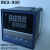 RKC智能温控仪REX-C400FK02-M*AN温控器 REX-C100 C700温度控制 REX REX-C100 SSR固态输出