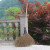 竹扫把农村老式竹丝扫帚笤帚户外环卫通用大扫把扫院子 皮扎竹丝扫帚1.4 长1.4米宽60厘