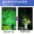 树灯景观LED投光灯RGB射树灯园林庭院绿化户外防水七彩照树灯 亚明-200W单色蓝光-足瓦加厚-IP66防水