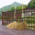 竹扫把 竹扫把农村老式竹丝扫帚笤帚户外庭院环卫通用大扫把扫院子JYH 皮扎竹丝1.5+金丝草