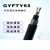 GYFTY53-8B1.3室外铠装光纤4/12/16/24/48/96芯非金属直地埋光缆 GYFTY53-48芯