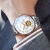 邦顿（Bestdon）瑞士认证手表男机械表全自动镂空瑞士风格男表送男友 玫壳白面白钢带
