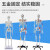 85CM人体骨骼模型 170CM骨架人体模型成人小骷髅教学模型脊椎身 85CM悬挂式骨骼附神经及单侧着色