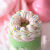 欧德堡 （Oldenburger）1L盒装淡奶油 食用甜品蛋糕裱花装饰 烘淡奶油焙原料 1kg