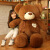 毛绒玩具丝带泰迪熊公仔抱抱熊玩偶娃娃女生礼物 浅棕黑衣款 140cm