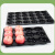 DYQT定制水果托盘陈列垫板苹果定位分格超市散装防滑蜜桃展示黑色塑料 果托(12孔) 20张加厚精品