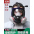 赛瑞佳防尘防毒面具全面罩喷漆打农药放毒氧气头罩化工气体防护全脸 4006防毒全面罩套装+20棉 其他
