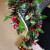 橙央（CHENGYANG）圣诞彩带装饰彩条藤条橱窗场景布置圣诞树树叶雪花毛条新年装饰品 墨绿白边(约15cm宽，2米长)