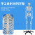 85CM人体骨骼模型 170CM骨架人体模型成人小骷髅教学模型脊椎身 85CM骨骼带心脏血管及脑