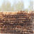 落叶松防腐油木杆 通信电力防腐油木杆 6米7米8米9米油木杆木质杆 7米130粗 小头